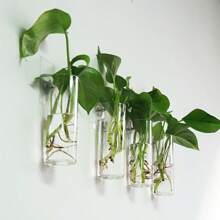 2/4/6 件亚克力圆柱壁挂花瓶，创意悬挂花盆，水培植物容器，室内外抛光塑料植物架，装饰艺术风格花卉图案
