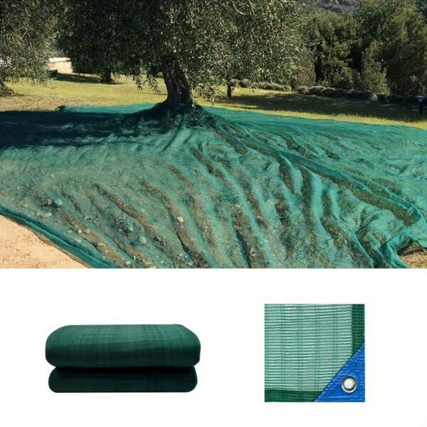 Olive Net Collection Green Plantation Fruit Collection Agricultural Network Walnut Olive Chestnut Fruit Tree