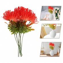 NetHong 10X Red Spider Lily Seeds Lycoris Radiata Flower Garden Plant Decoration Seed - Red - View 4