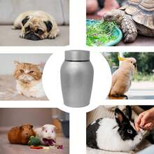 1pc Personalized Pet Urn Thread Design On The Top Dog Urn Stainless Steel Material Cat Urns Custom Name Pet Urns For Dogs Ashes Suitable For Small Medium Large - Multicolor - View 6