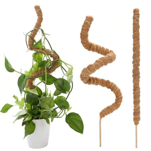 1pc Moss Pole For Monstera Creepers Climbing Indoor Plant Extension Support Stake Frame