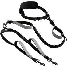 New Reflective 2-In-1 Pet Leash, 360-Degree Rotation Tangle-Free, Outdoor Sports Running Dog Leash, Hands-Free, Thick Foam Handle, Anti-Pull Pet Leash With Elasticity And Retractability, Multiple Colors Available