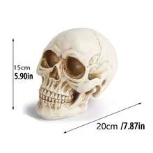 Skeleton Head Decor, Popular Overseas Halloween Skull Figurine, Resin Ornament, Personalized Decoration For Office Home Decor Halloween Decor Fall Decor Room Decor - Multicolor - View 5