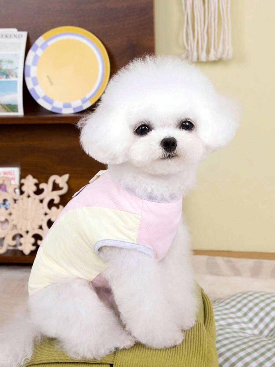 1pc Pet Mesh Breathable Reversible Vest/Harness - Multicolor - View 1