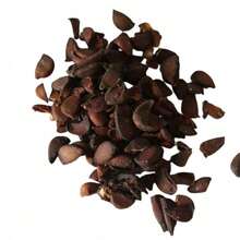 100pcs/Bag Rare Papaya Seeds Non Gmo - 100 - View 2