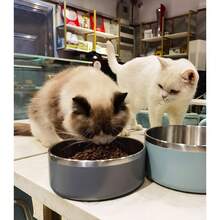 Dog Bowl, Stainless Steel Dog Food And Water Bowl With Non Slip Quiet Bottom, Easy To Clean, Dishwasher Safe, 64oz, Blue-Cb - 深灰色 - 查看 3