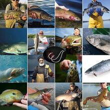 New Fishing Hooks Saltwater Circle Hooks For Catfish And Octopus, 150pcs Fish Hooks For Fishing Tackle And Gear, 6 Siz Saltwater Fishing Lur, Black High Carbon Steel  Portable Plastic Box - 1 0 2 0 3 0 4 0 5 0 6 0 1 0 2 0 3 0 4 0 5 0 6 0 - View 7