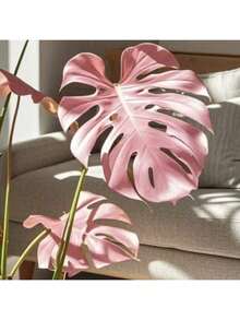 200 Seeds Of Thai Starry Fig Powder Purple Seeds - Starry Fig - Snowflake Magnolia Extremely Rare Indoor Plant Seeds