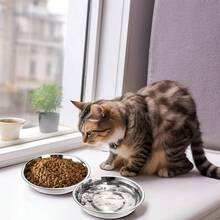 Paquete de 5 tazones de acero inoxidable para gatos, plato de comida y agua de metal de 7,7", cuenco básico de alimentación para mascotas de 16 onzas para gatitos, cachorros, plato de reemplazo ancho y poco profundo para perros, soporte elevado, apto para lavavajillas - 1 - Ver 8
