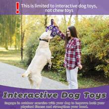 Jouet pour chien de compagnie avec bande tressée en forme de ballon de football, jouet interactif pour chien d'intérieur/extérieur, ballon de football régulier pour chien, convient aux chiens petits/moyens/grands