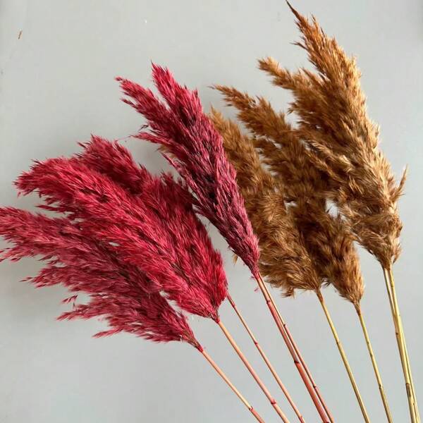 Dried Flower Bouquet With Cattail Grass Decoration, Boho Style Home Decor, Suitable For Wedding, Home, Barn, Bathroom, Tabletop,Fall Decor,Autumn