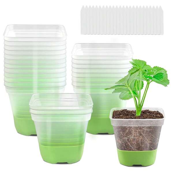 10 Packs Clear Nursery Pots With Reinforced Silicone Base For Easy Transplant, Reusable Seed Starter Seedling Small Plant Flower Pots