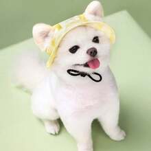 1pc Pet Bucket Hat - Ear Exposed Design To Prevent Falling Off, Adjustable, Pet Sun Hat, Avocado Hat, Bucket Hat, Dog Cap, Cat Cap, Pet Clothing Accessory, Pet Supplies