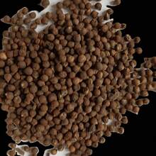 High Germination Rate 300pcs Hibiscus Seeds For Planting Mixed Flowering Hibiscus Bush Grower Plant Seeds For Pot Outdoor - 300Pcs - View 3