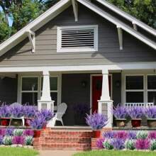 10 pièces de fleurs de lavande artificielles résistantes aux UV - plantes en plastique artificielles résistant à la décoloration, pour le jardin, le porche, la décoration de la boîte de fenêtre (violet classique)