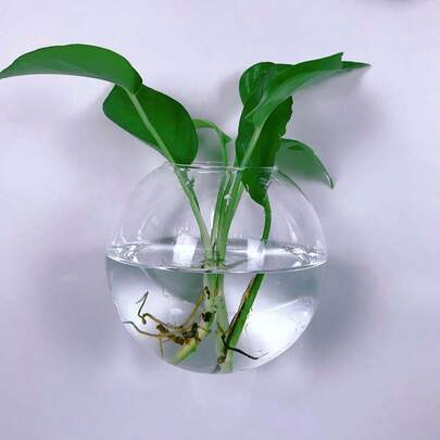 2/4/6 件装壁挂式玻璃花盆 - 自浇水水培花盆，适用于家庭办公室装饰，手工圆形水晶花瓶