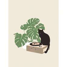 1pc/3PCS Funny Cat Dumplings Slouchy Cat Illustration Abstract Line Poster Canvas Painting Nordic Style Wall Art Picture Bathroom Home Decor Framed Cat Unframed Cat