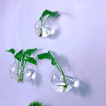 1/2/4/6/8/10 Semi-Circular Acrylic Hook Vase Wall Mounted Hydroponic Plant Office Wall Decoration Ins Style - Clear - View 6