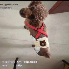 1 件狗尿布腰带夹，母狗衣服/裤子固定器，可调节尿布吊带，适用于大/中/小型犬 - 彩色 - 查看 13
