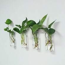 2/4/6 件亚克力圆柱壁挂花瓶，创意悬挂花盆，水培植物容器，室内外抛光塑料植物架，装饰艺术风格花卉图案