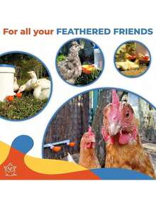 Large Automatic Chicken Waterer Cups| Chicken Water Feeder Suitable For Chicks, Duck, Goose, Turkey And Bunny| Poultry Water Feeder Kit (Orange)… - Pack Of 8 - View 6