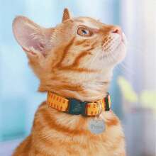 Customized Cat Shaped Name Tag, Pet ID Tag, Cat Accessories, Collar Pendant, Various Fonts And Colors Available
