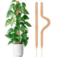 1pc Moss Pole For Monstera Creepers Climbing Indoor Plant Extension Support Stake Frame