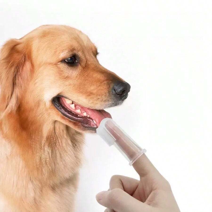 6件装可重复使用宠物牙刷，硅胶材质，耐用，刷毛柔软，温和呵护牙龈，易于清洁，宠物口腔护理工具