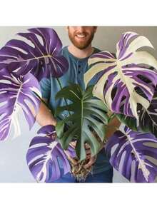 200 Seeds Of Thai Starry Fig Powder Purple Seeds - Starry Fig - Snowflake Magnolia Extremely Rare Indoor Plant Seeds