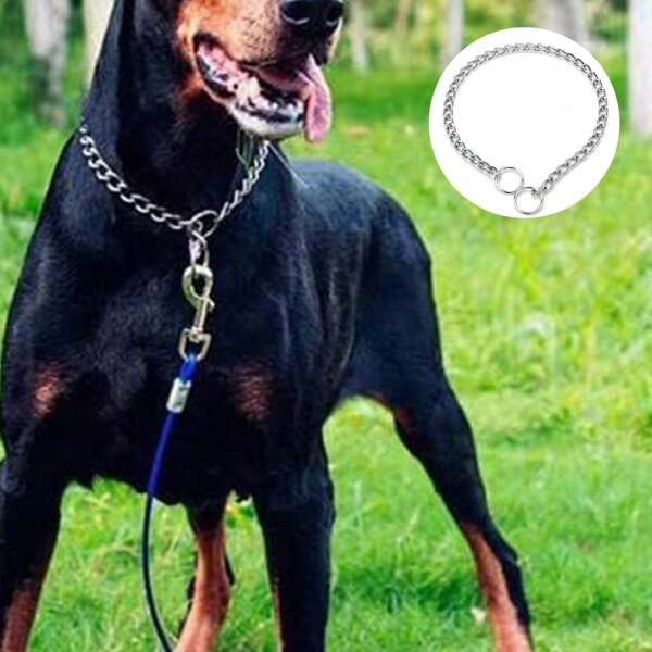Coleira de treinamento para cães de 1 peça, coleira de corrente de ferro, adequada para cães pequenos, médios e grandes, fácil de colocar, segura e difícil para os animais de estimação escaparem
