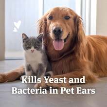 PetArmor Solución de limpieza para orejas de perros y gatos, 4 oz, limpia la suciedad, el moho, la cera y las bacterias de las orejas de las mascotas, envase fácil de apretar - Blanco - Ver 7