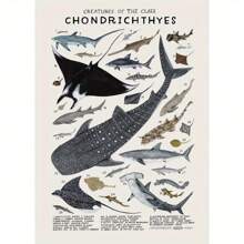 1pc Unframed Canvas Poster, Modern Art, Chondrichthyes Sharks, Skates, Rays Poster, Ideal Gift For Bedroom Living Room Corridor, Wall Art, Wall Decor, Winter Decor, Room Decoration