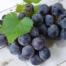 174 High Germination Garden Rich Giant Tip Vine Seeds - Sweet Fruity Varieties, Grapevine Seeds, Perfect For Your Garden Planting - 174件 - 查看 3