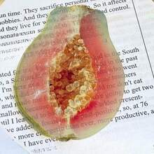 创意仿真水果书签，可爱又有趣的书本装饰 - 彩色 - 查看 10