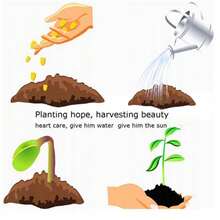 20 Pieces Beautiful Rare Blue Clover Seeds - 100 - View 4