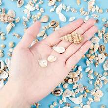 [约200个]Ins风贝壳磨砂混装包-手工DIY装饰材料(复活节/母亲节/情人节礼物)迷你彩色贝壳瓶装饰/水族箱点缀 - 隨機約200個 - 查看 8