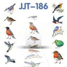 500张鸟类贴纸卷，鸟类贴纸，动物贴纸，鸟类周边，鸟类礼品，卡通贴纸，可爱贴纸，艺术贴纸，乙烯基贴纸，适用于水瓶、保温瓶、吉他、行李箱、手机、手机壳、笔记本电脑、滑板等，礼品 - 彩色 - 查看 5