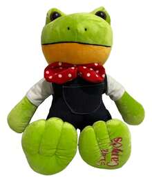 Peluche rana Rhene Lara campos tamaño grande 40 cm muñeco tierno ideal para regalo colección y decoración de espacios infantiles - Verde - Ver 3