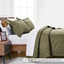 Quilts For Queen Bed Blue Bedspreads - Soft Bed Summer Quilt Lightweight Microfiber Bedspread- Modern Style Coin Pattern Coverlet For All Season - 3 Piece (1 Quilt, 2 Pillow Shams) - Coin Pattern Green - View 4