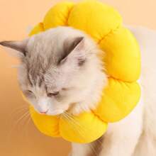 1 Peça Colar Colarinho Elizabetano de Girassol para Gatos e Cachorros, Colar de Recuperação Cirúrgica para Animais de Estimação, Anti-Lambida e Anti-Arranhão