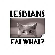 1 buc / 3 buc Postere de perete cu cadru opțional / Înrămat LGBT Lesbiene Eat What Meme Cat Poster Canvas Printing Funny Meme Wall Decor Lesbiene Bar Home Wall Decor Comic Prints Decorare