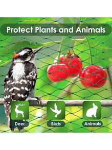 1 Pc Bird Protection Net, Garden Plant Mesh, Protecting Plants And Fruit Trees From Birds, Deer, Poultry, Best Fencing Anti-Bird Net Garden Net Orchard Anti-Bird Net Polyethylene Anti-Bird Net Extrusion Anti-Bird Net Grape Anti-Green Anti-Bird Net