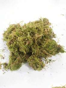 100g Artificial Moss, DIY Realistic Moss Micro Landscape Layout, Lifelike Green Plant Set, Green Grass Lawn Potted Plant Decor For Window Sill, Valentine's Day Gift, Graduation Gift - Multicolor - View 14