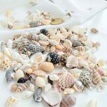 [约200个]Ins风贝壳磨砂混装包-手工DIY装饰材料(复活节/母亲节/情人节礼物)迷你彩色贝壳瓶装饰/水族箱点缀 - 隨機約200個 - 查看 4