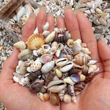 [约200个]Ins风贝壳磨砂混装包-手工DIY装饰材料(复活节/母亲节/情人节礼物)迷你彩色贝壳瓶装饰/水族箱点缀 - 隨機約200個 - 查看 1