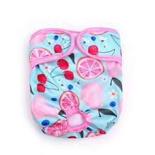 Culotte physiologique pour chienne femelle populaire en transfrontalier, culotte physiologique pour chien, couche, couche menstruelle, vêtement de printemps et d'été pour animaux de compagnie, exclusivité d'usine