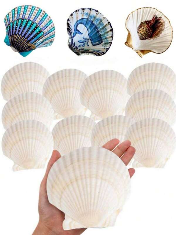 5/10 Stücke große natürliche Muschel Kammmuscheln geeignet für Bastelarbeiten, DIY Malen, Schmuckherstellung, Heimdekoration, Fotografie-Requisiten, Hochzeitsdekoration, Geschenke, Größe: 7-8cm/2,75-3,15 Zoll
