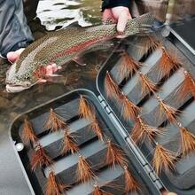（25 件套苍蝇）飞蝇钓鱼人造苍蝇套装 | 有翅麋鹿石蛾钓鳟鱼鲈鱼飞蝇饵 | 含飞蝇盒、干蝇、若虫材料人造羽毛和人造丝