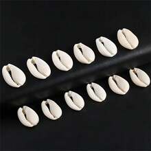 100g White Striped Seashell Decor - Natural Clam Shell Micro Aquarium Accessories, For Making Terrarium, Picture Frames And Jewelry Design