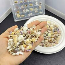 [约200个]Ins风贝壳磨砂混装包-手工DIY装饰材料(复活节/母亲节/情人节礼物)迷你彩色贝壳瓶装饰/水族箱点缀 - 隨機約200個 - 查看 9